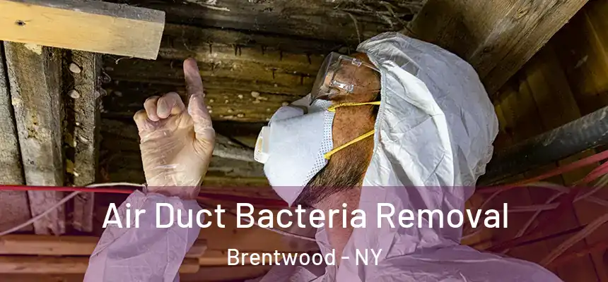 Air Duct Bacteria Removal Brentwood - NY