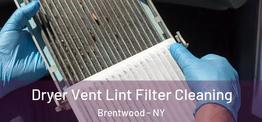  Dryer Vent Lint Filter Cleaning Brentwood - NY
