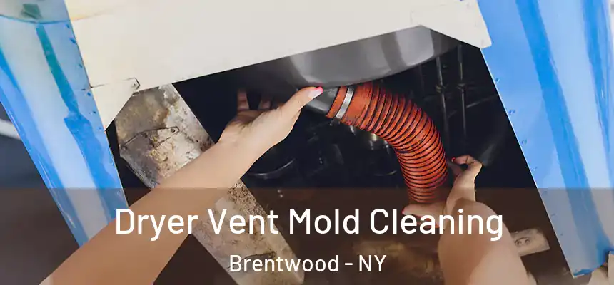 Dryer Vent Mold Cleaning Brentwood - NY