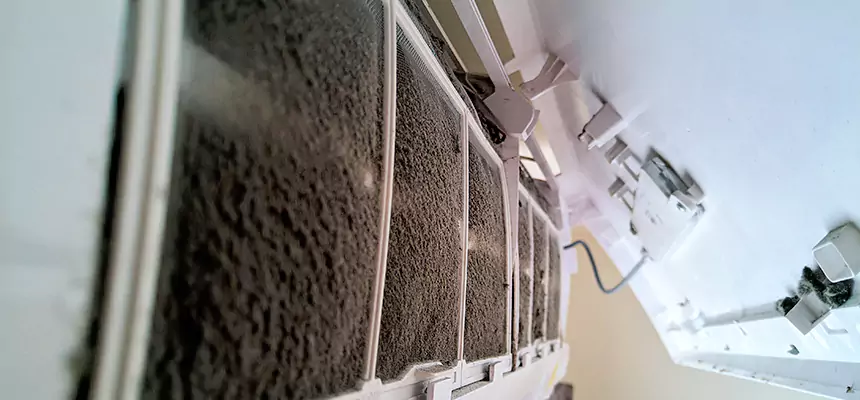 Preventive Air Duct Bacteria Removal in Brentwood