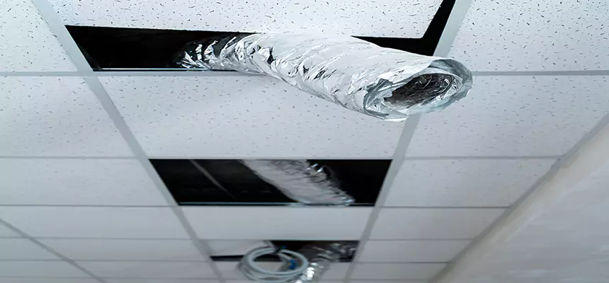 Our Air Duct Pet Hair Removal Services in Brentwood, NY