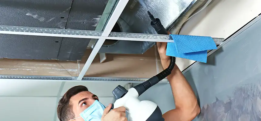 Our Air Duct Rodent Removal Services in Brentwood, NY