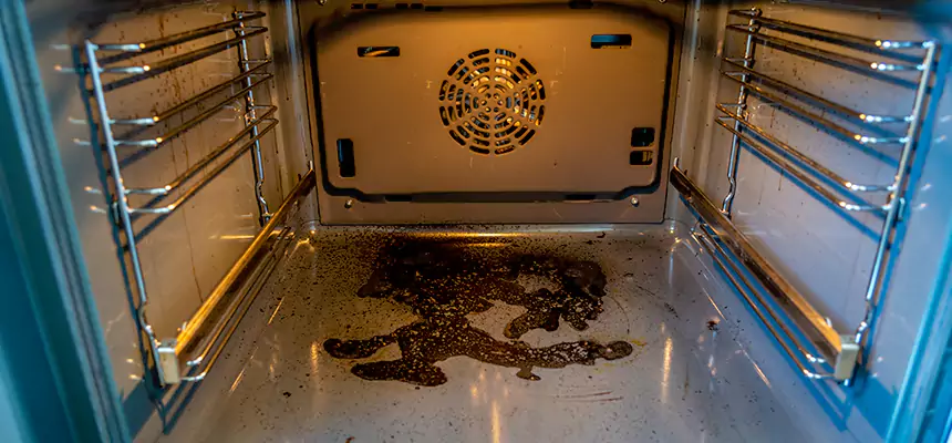 Our Dryer Vent Mold Cleaning Services in Brentwood, NY