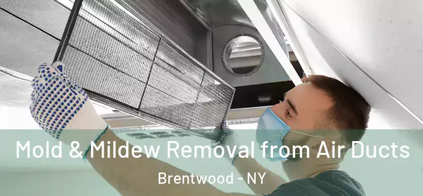  Mold & Mildew Removal from Air Ducts Brentwood - NY