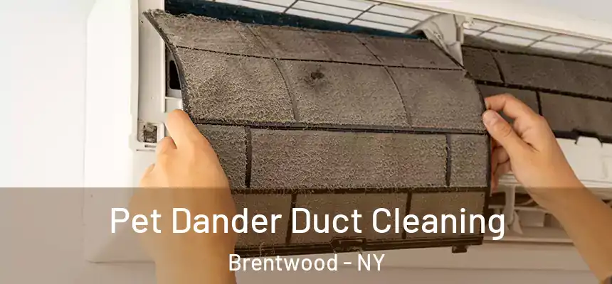  Pet Dander Duct Cleaning Brentwood - NY