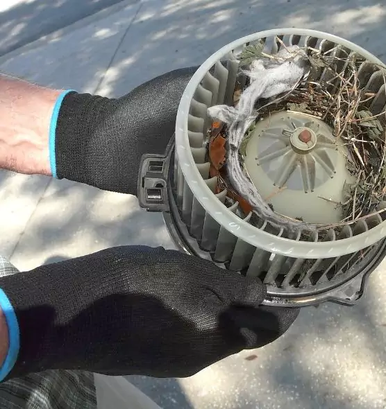 About Air Duct Mice Removal in Brentwood, NY