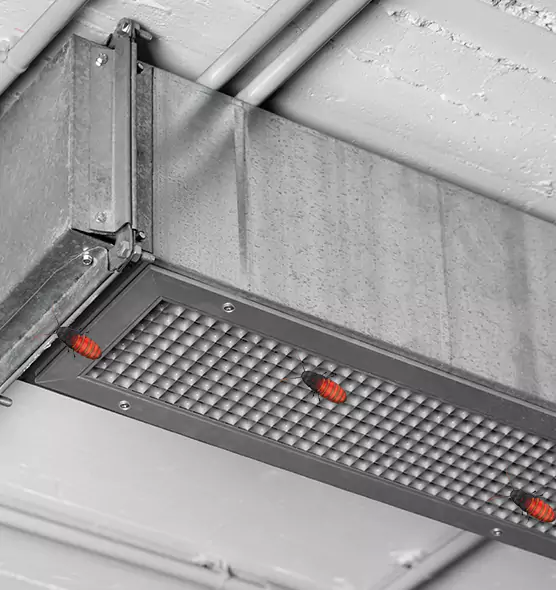 Affordable Insect Removal from Air Ducts in Brentwood, NY