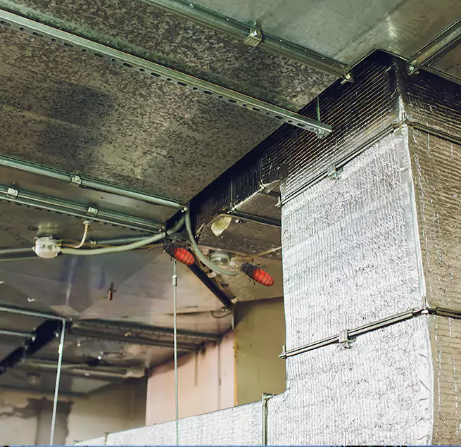 Why Homeowners & Businesses Trust Us in Brentwood, NY?