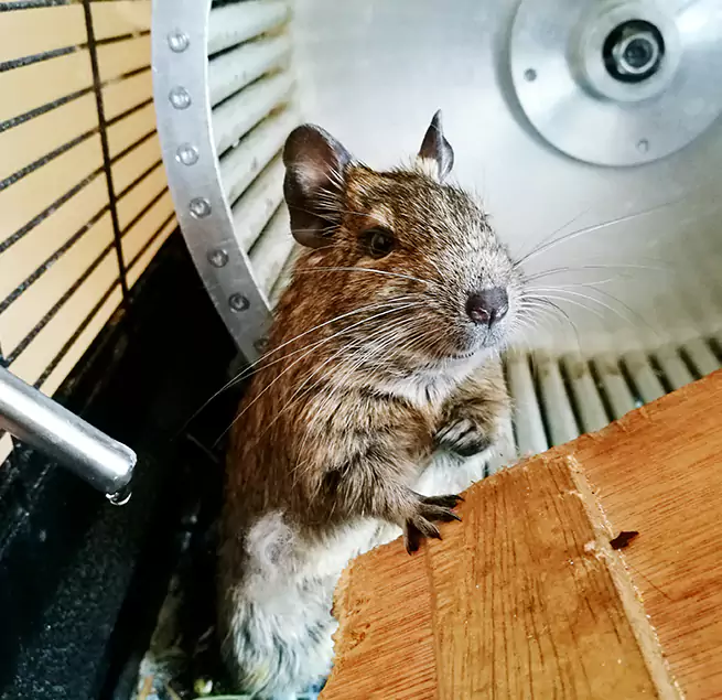 Why Homeowners & Businesses Trust Us Brentwood, NY?