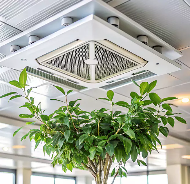 Why Homeowners & Businesses Trust Us in Brentwood, NY?