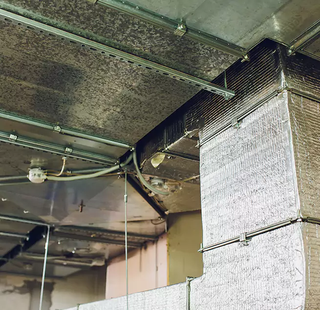 Why Homeowners & Businesses Trust Us in Brentwood, NY?